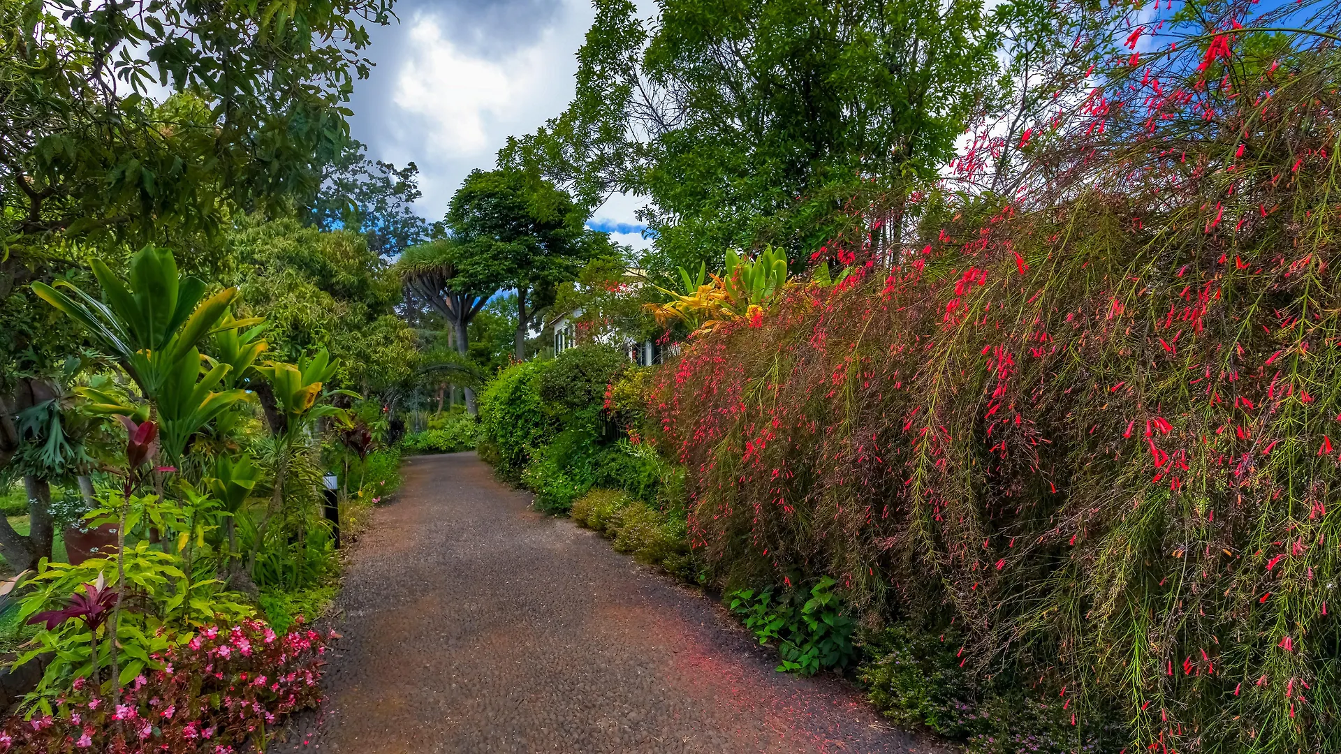 ***** Otel Quinta Jardins Do Lago Funchal Portekiz