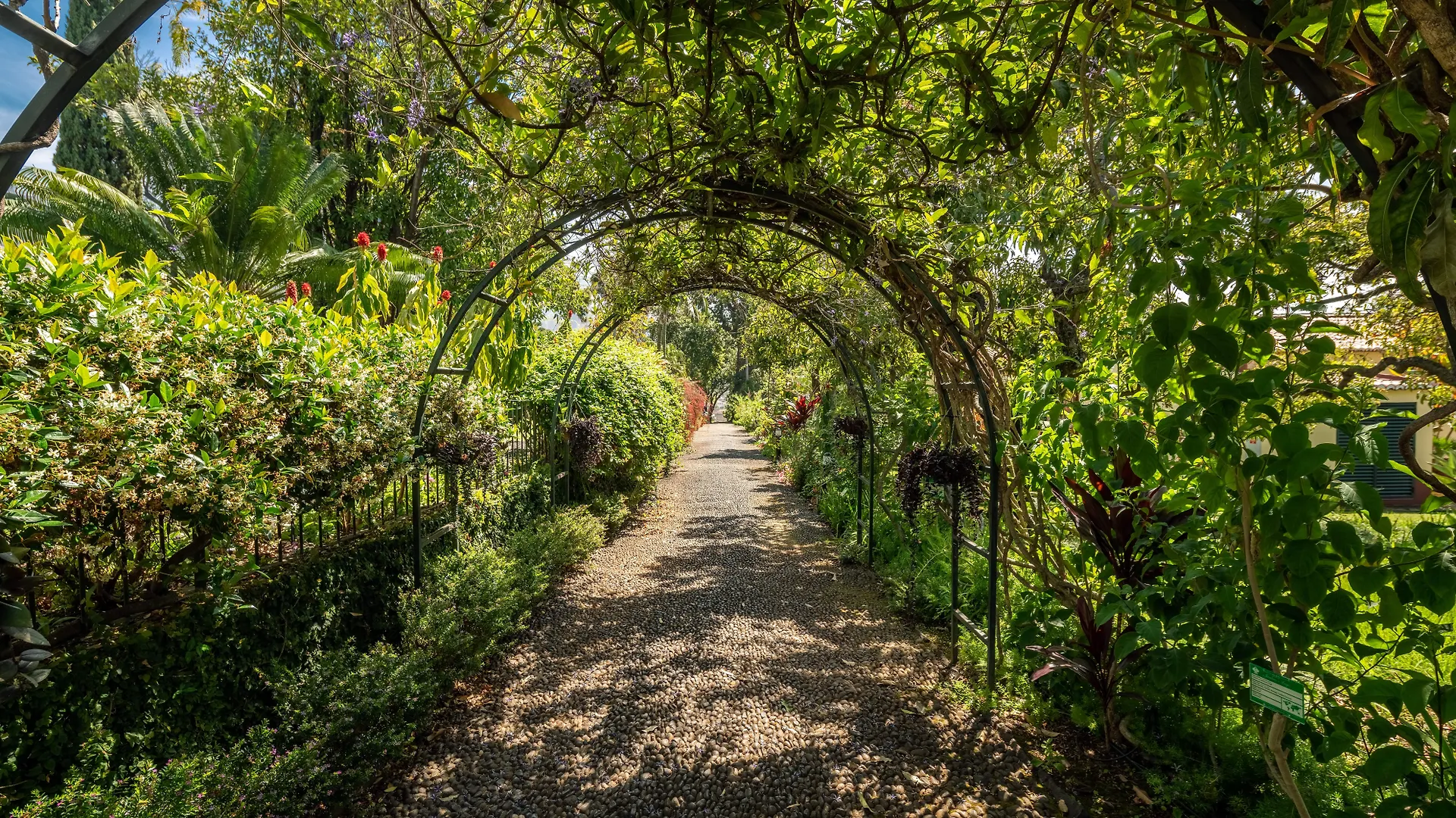 Quinta Jardins Do Lago Funchal 5*,  Portekiz