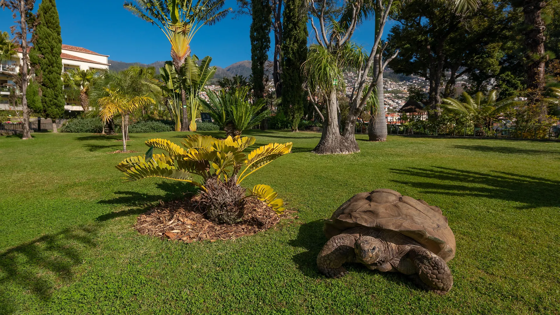 Otel Quinta Jardins Do Lago Funchal